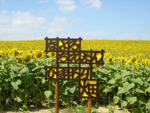 Nayoro Chiebun Sunflower Farm